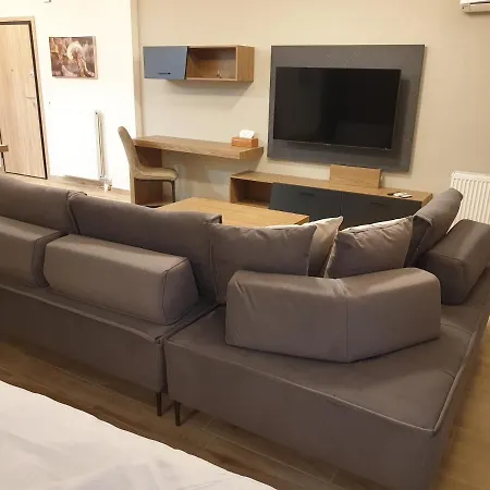 Apartment Olive Deluxe Karditsa